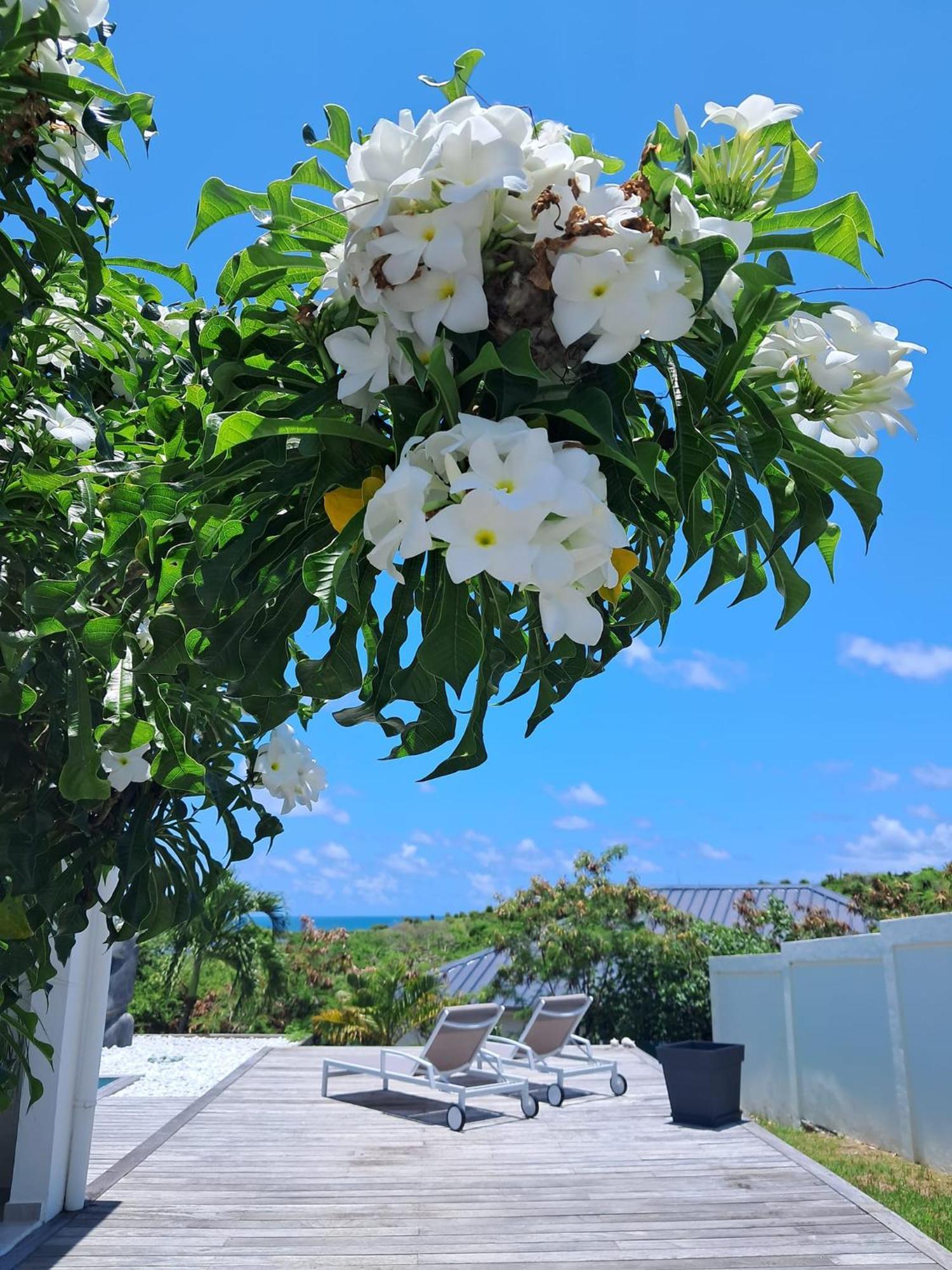 Villa Moai Cul de Sac Buitenkant foto